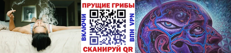 Купить где  Духовщина  Псилоцибиновые грибы ЛСД 